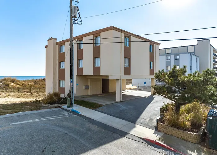 Oasis 3N - Oasis North