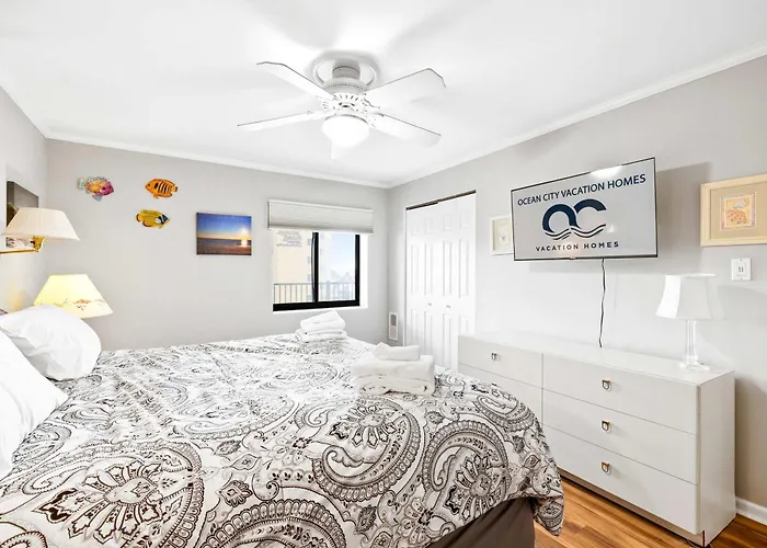Golden Surf 204